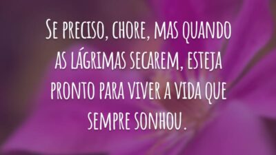 Se preciso, chore, mas quando as lágrimas secarem, esteja pronto para viver a vida que sempre sonhou.