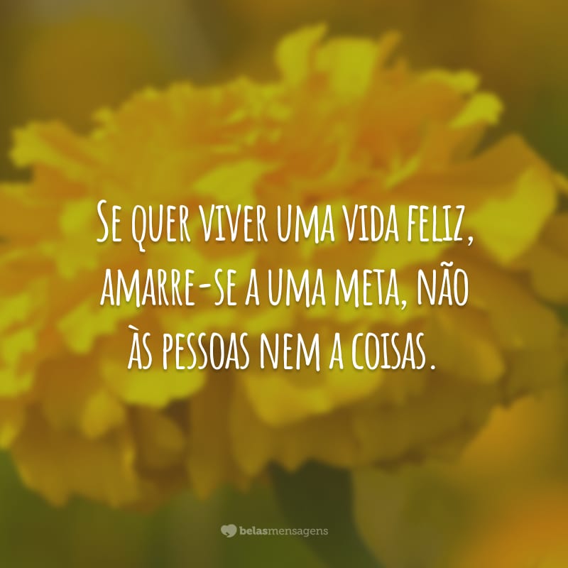 Se quer viver uma vida feliz, amarre-se a uma meta, não às pessoas nem a coisas.