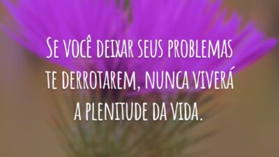 Se você deixar seus problemas te derrotarem, nunca viverá a plenitude da vida.