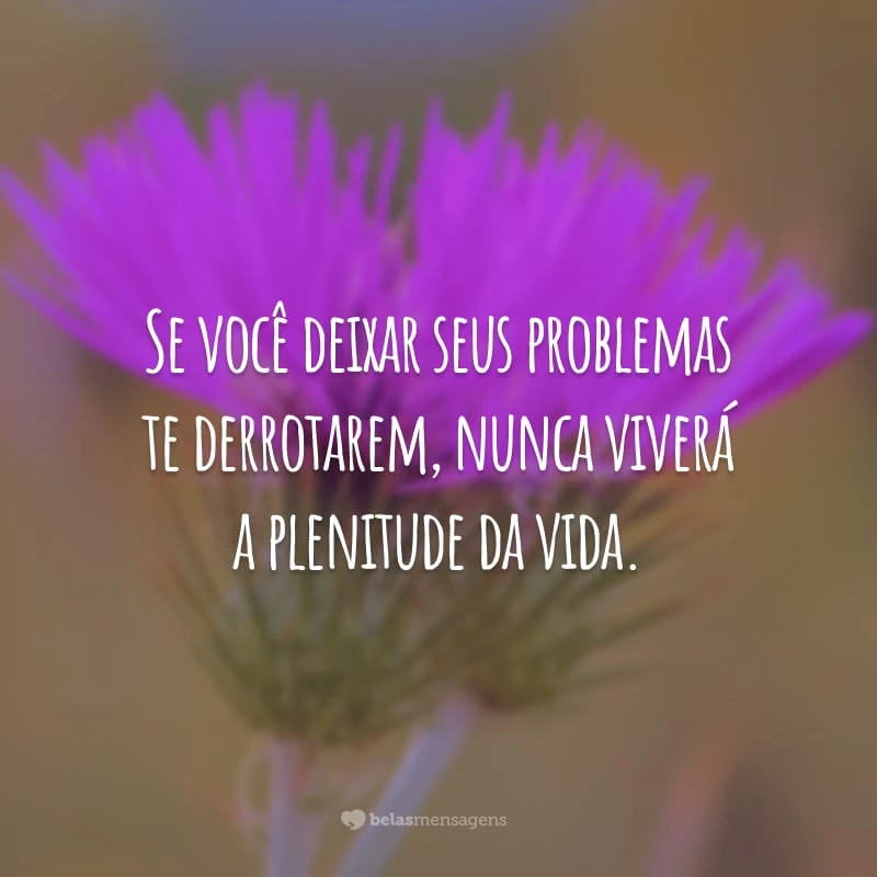 Se você deixar seus problemas te derrotarem, nunca viverá a plenitude da vida.