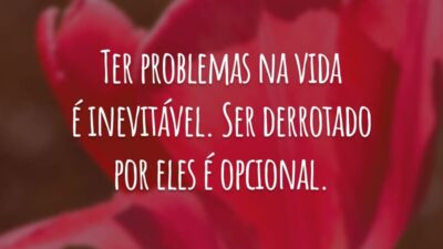 Ter problemas na vida é inevitável. Ser derrotado por eles é opcional.