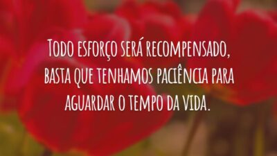 Todo esforço será recompensado, basta que tenhamos paciência para aguardar o tempo da vida.