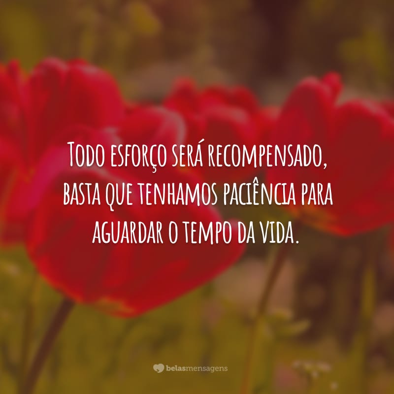 Todo esforço será recompensado, basta que tenhamos paciência para aguardar o tempo da vida.