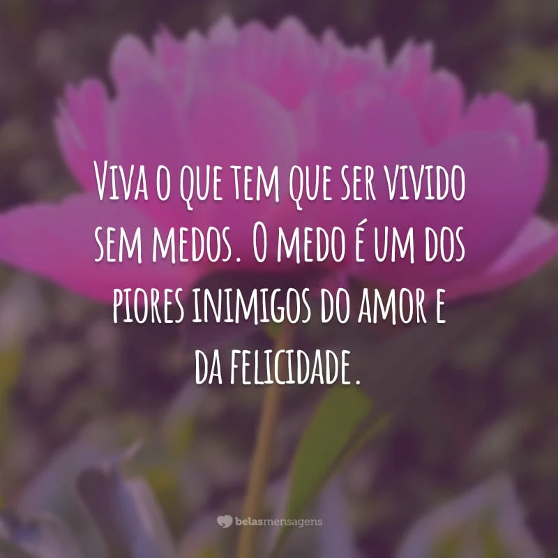 Viva o que tem que ser vivido sem medos. O medo é um dos piores inimigos do amor e da felicidade.