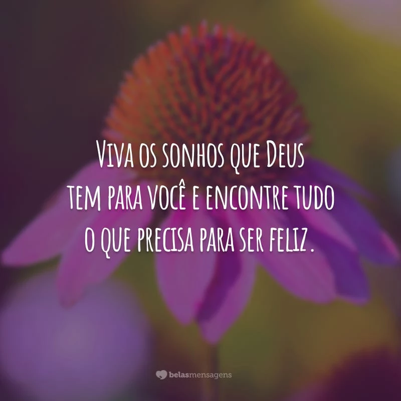 Viva os sonhos que Deus tem para você e encontre tudo o que precisa para ser feliz.