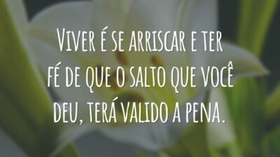 Viver é se arriscar e ter fé de que o salto que você deu, terá valido a pena.