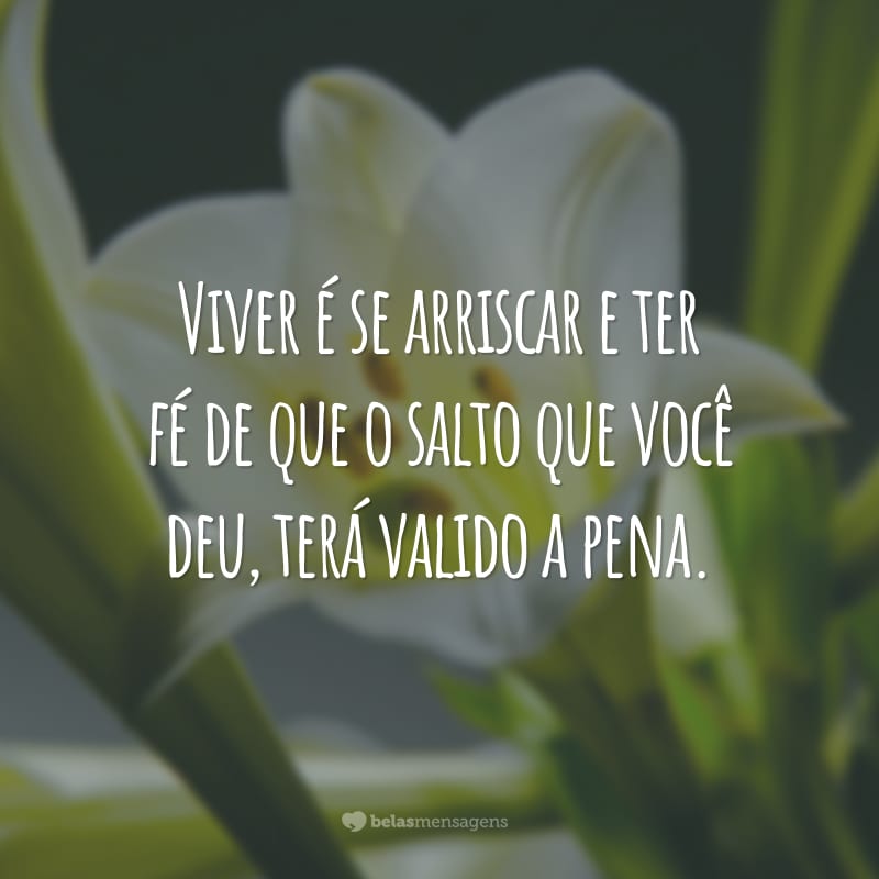 Viver é se arriscar e ter fé de que o salto que você deu, terá valido a pena.