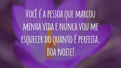 Você é a pessoa que marcou minha vida e nunca vou me esquecer do quanto é perfeita. Boa noite!