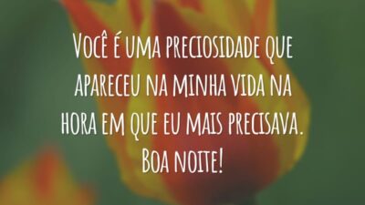 Você é uma preciosidade que apareceu na minha vida na hora em que eu mais precisava. Boa noite!