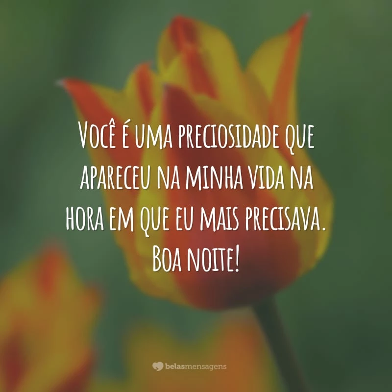 Você é uma preciosidade que apareceu na minha vida na hora em que eu mais precisava. Boa noite!