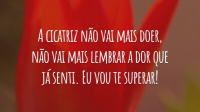 A cicatriz não vai mais doer, não vai mais lembrar a dor que já senti. Eu vou te superar!