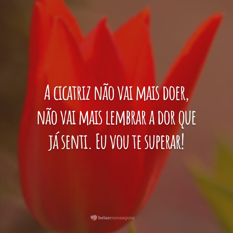 A cicatriz não vai mais doer, não vai mais lembrar a dor que já senti. Eu vou te superar!