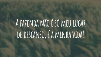 A fazenda não é só meu lugar de descanso, é a minha vida!
