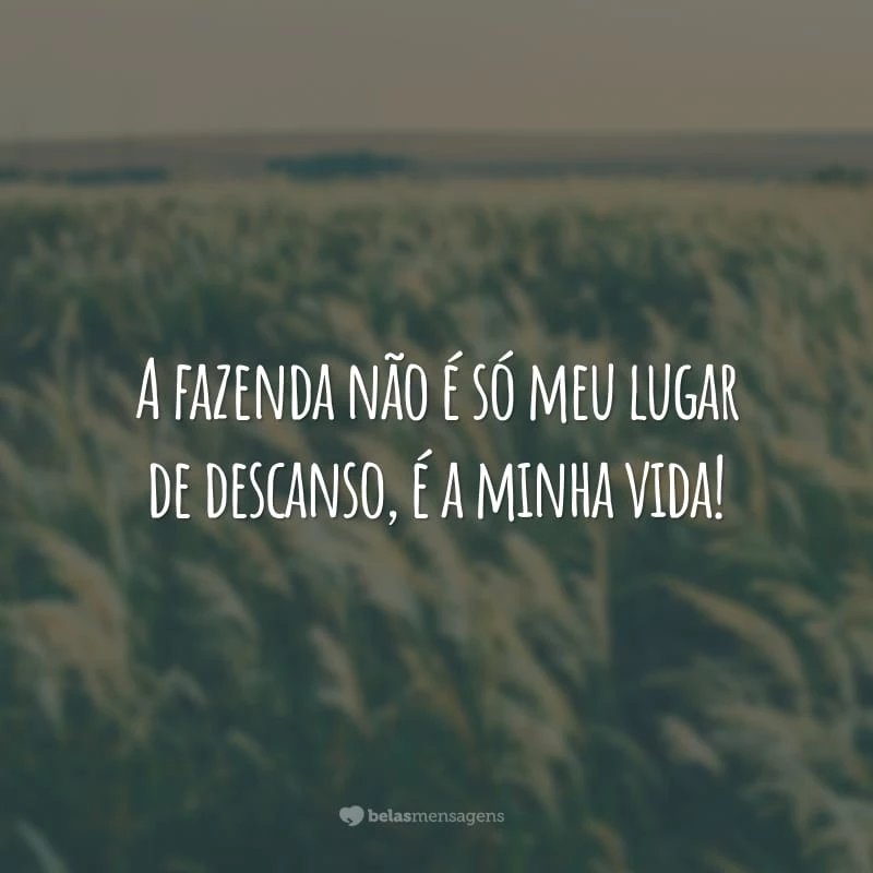 A fazenda não é só meu lugar de descanso, é a minha vida!