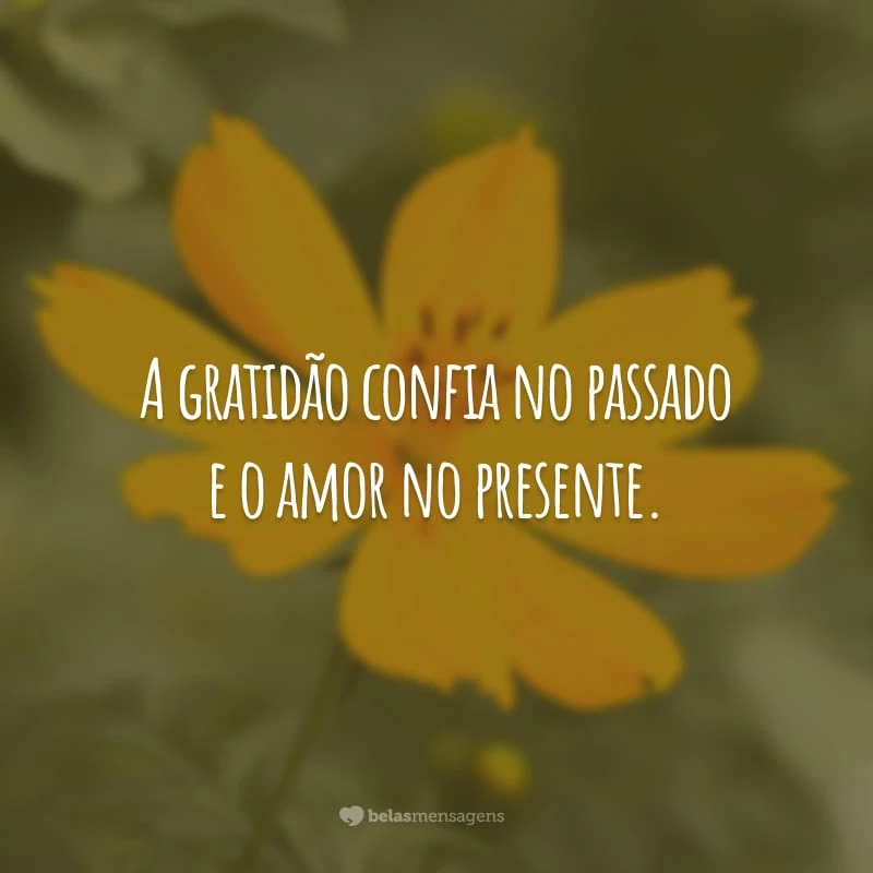 A gratidão confia no passado e o amor no presente.