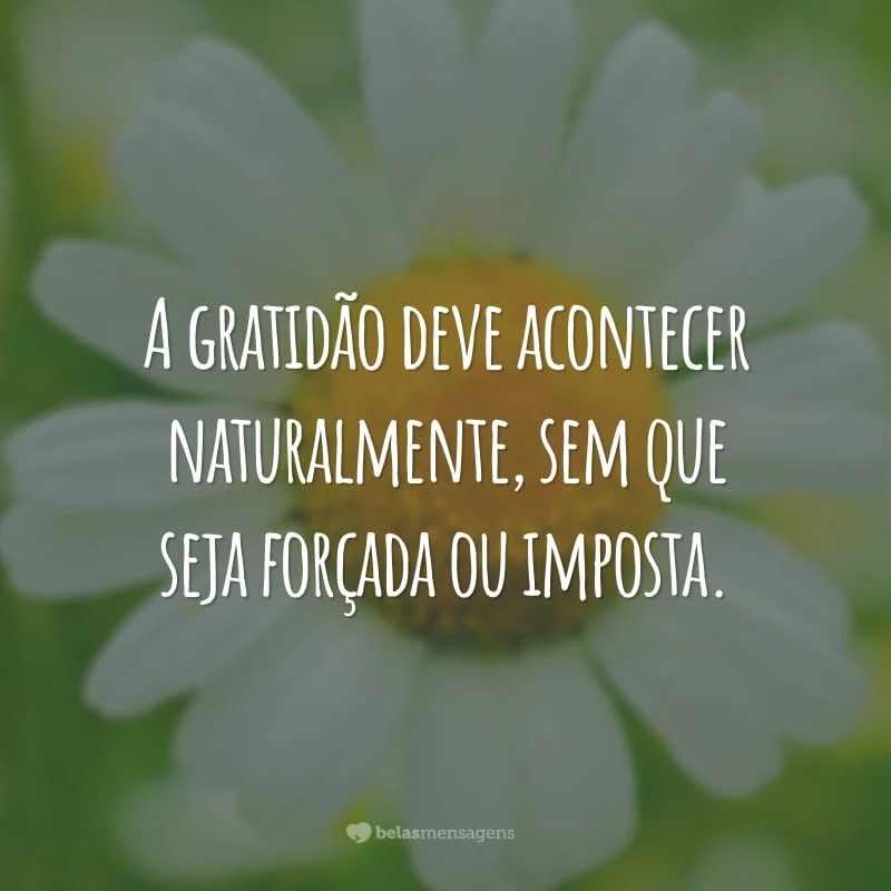 A gratidão deve acontecer naturalmente, sem que seja forçada ou imposta.