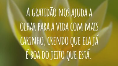 A gratidão nos ajuda a olhar para a vida com mais carinho, crendo que ela já é boa do jeito que está.