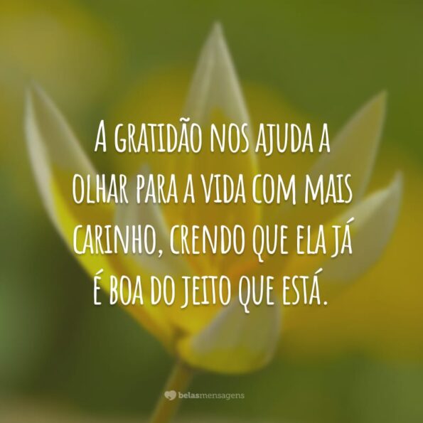 45 frases de reflexão sobre gratidão para ser mais grato pelo que tem