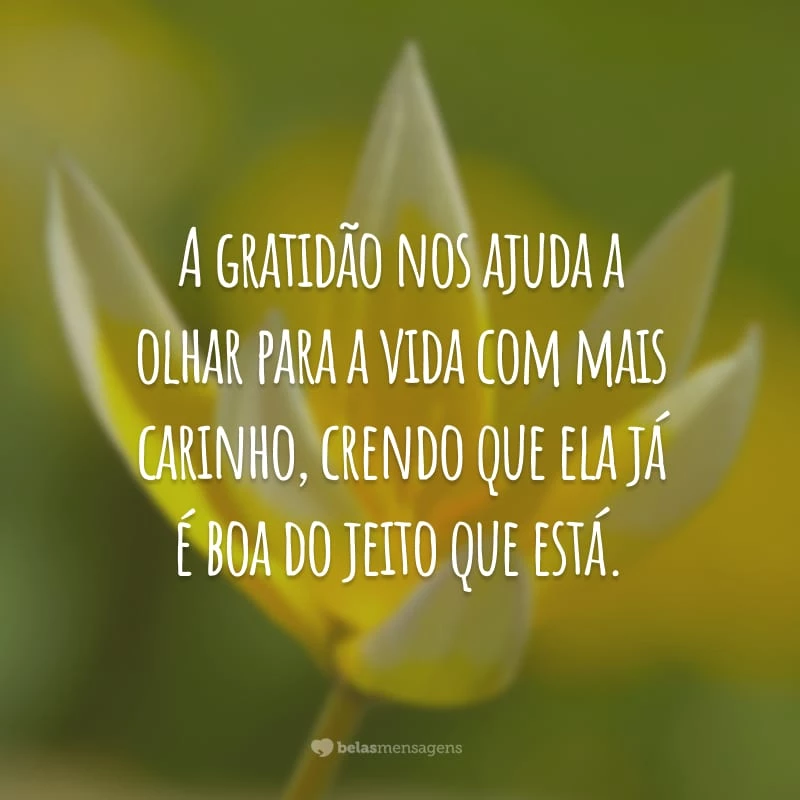 A gratidão nos ajuda a olhar para a vida com mais carinho, crendo que ela já é boa do jeito que está.