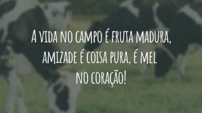 A vida no campo é fruta madura, amizade é coisa pura, é mel no coração!