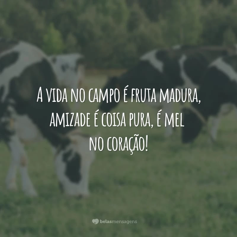 A vida no campo é fruta madura, amizade é coisa pura, é mel no coração!