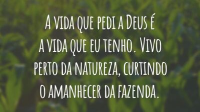 A vida que pedi a Deus é a vida que eu tenho. Vivo perto da natureza, curtindo o amanhecer da fazenda.