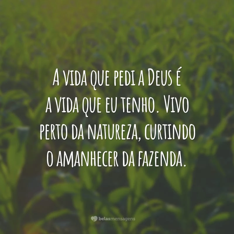 A vida que pedi a Deus é a vida que eu tenho. Vivo perto da natureza, curtindo o amanhecer da fazenda.