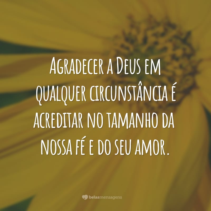 Agradecer a Deus em qualquer circunstância é acreditar no tamanho da nossa fé e do seu amor.