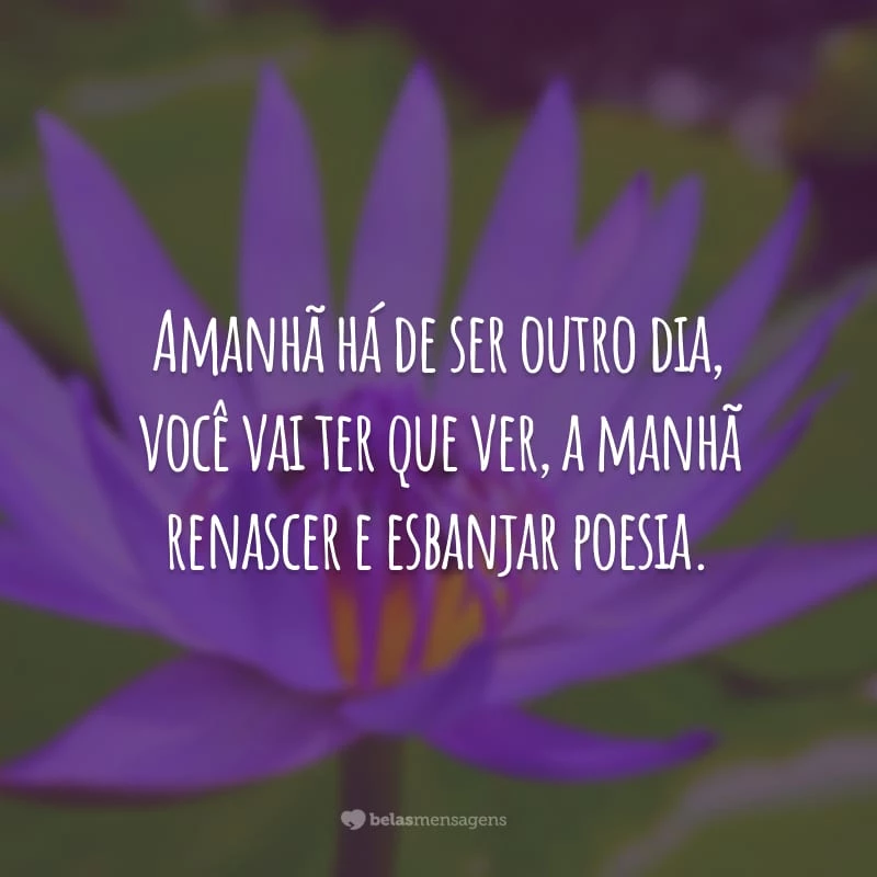 Amanhã há de ser outro dia, você vai ter que ver, a manhã renascer e esbanjar poesia.