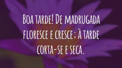 Boa tarde! De madrugada floresce e cresce; à tarde corta-se e seca.
