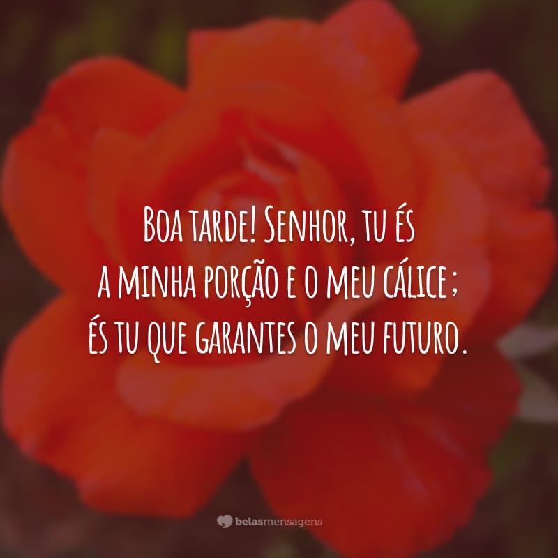 Boa tarde! Senhor, tu és a minha porção e o meu cálice; és tu que garantes o meu futuro.