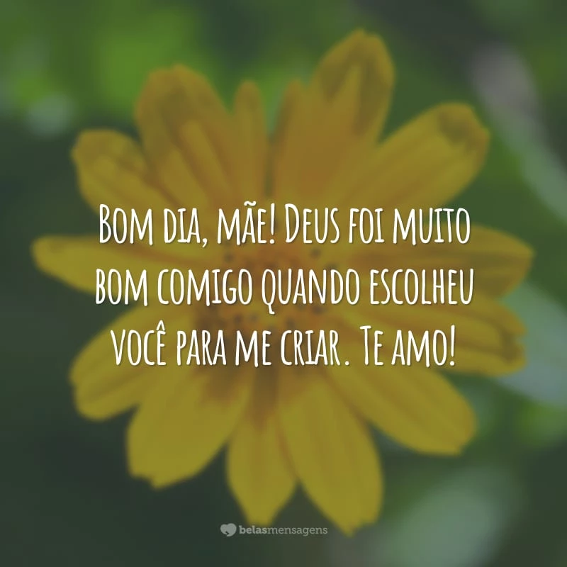 Bom dia, mãe! Deus foi muito bom comigo quando escolheu você para me criar. Te amo!