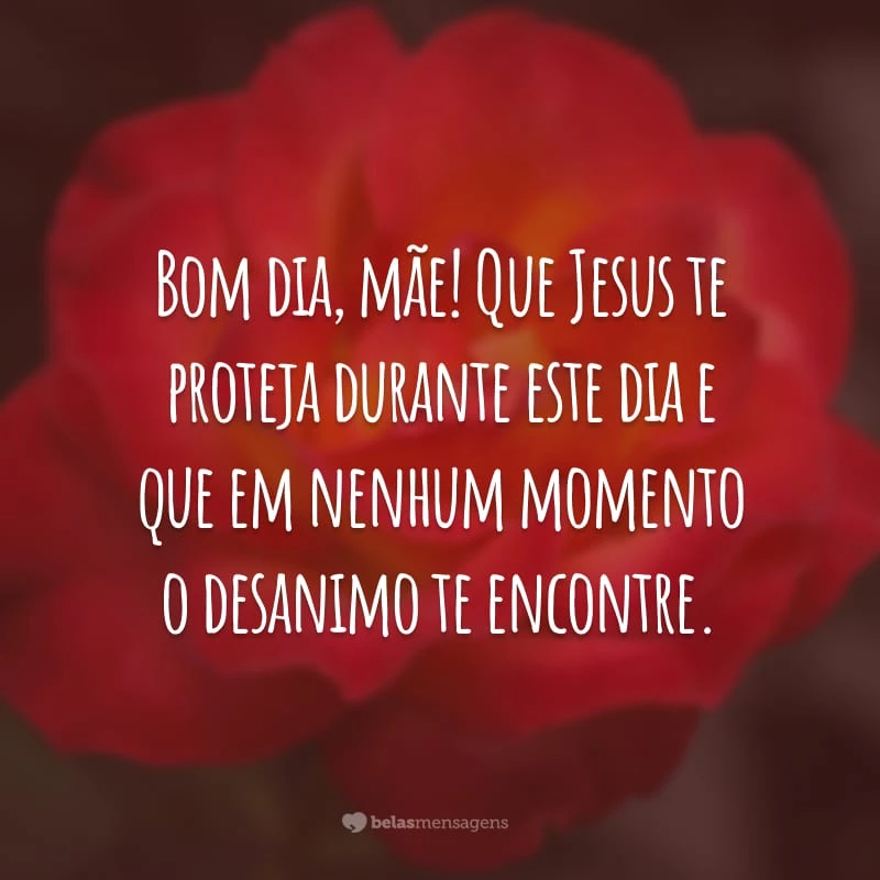 Bom dia, mãe! Que Jesus te proteja durante este dia e que em nenhum momento o desanimo te encontre.