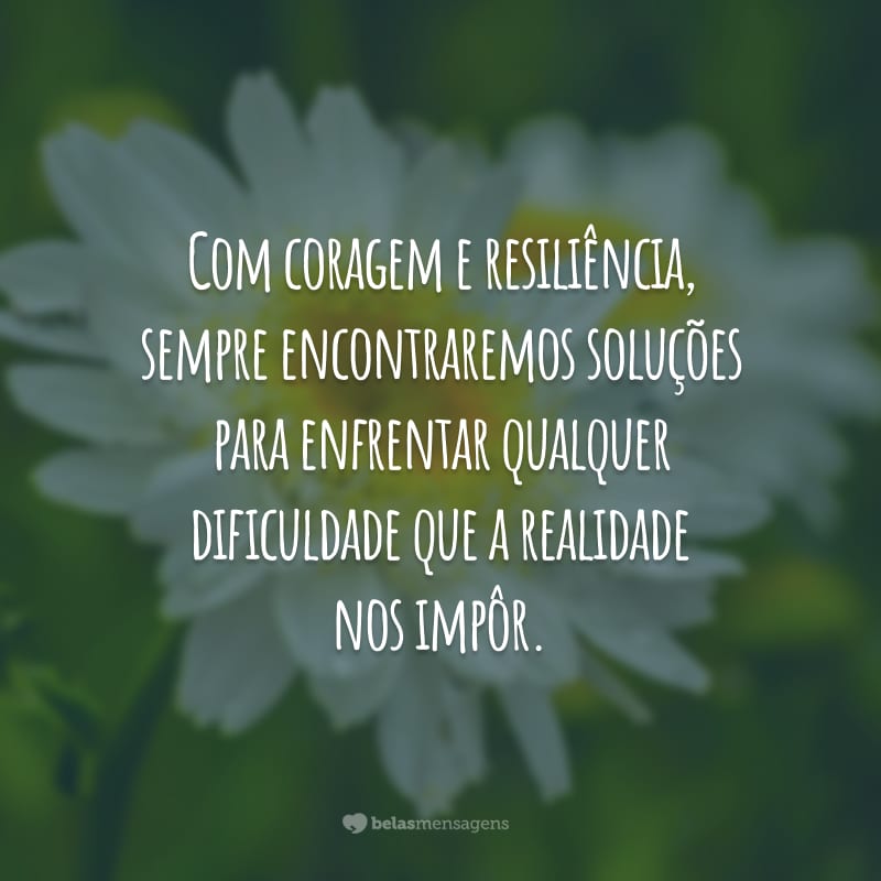 Com coragem e resiliência, sempre encontraremos soluções para enfrentar qualquer dificuldade que a realidade nos impôr.