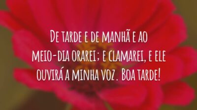 De tarde e de manhã e ao meio-dia orarei; e clamarei, e Ele ouvirá a minha voz. Boa tarde!