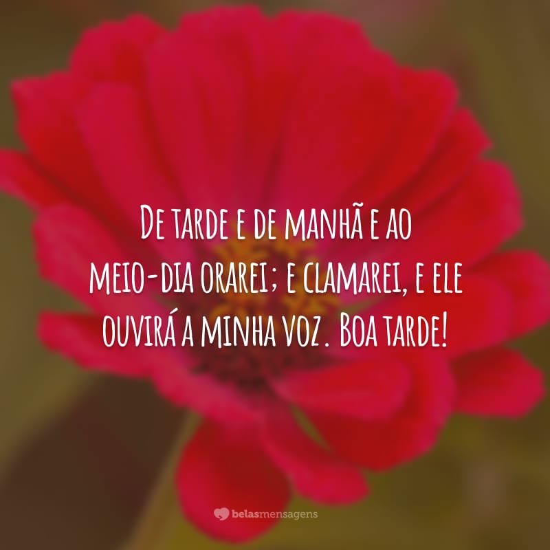 De tarde e de manhã e ao meio-dia orarei; e clamarei, e Ele ouvirá a minha voz. Boa tarde!