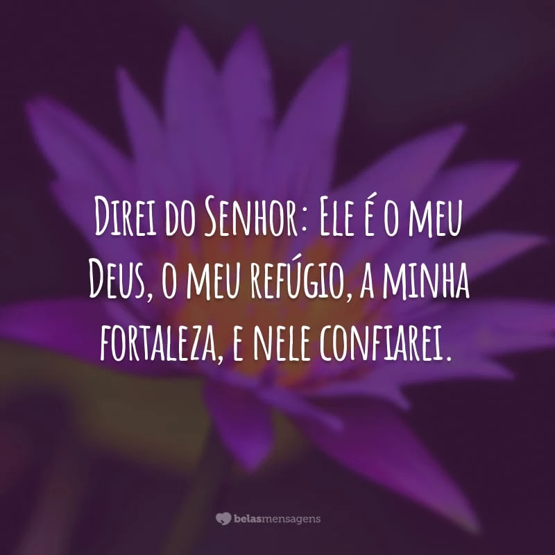 Direi do Senhor: Ele é o meu Deus, o meu refúgio, a minha fortaleza, e nele confiarei.