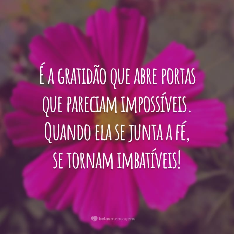 É a gratidão que abre portas que pareciam impossíveis. Quando ela se junta a fé, se tornam imbatíveis!