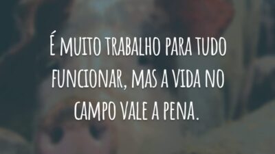 É muito trabalho para tudo funcionar, mas a vida no campo vale a pena.