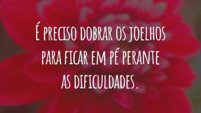 É preciso dobrar os joelhos para ficar em pé perante as dificuldades.