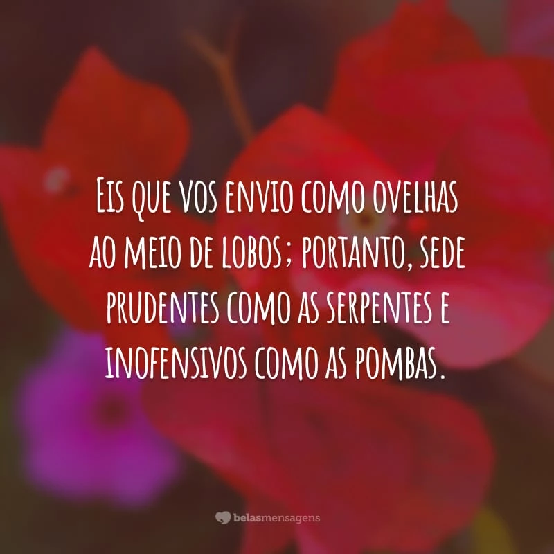 Eis que vos envio como ovelhas ao meio de lobos; portanto, sede prudentes como as serpentes e inofensivos como as pombas.