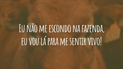 Eu não me escondo na fazenda, eu vou lá para me sentir vivo!