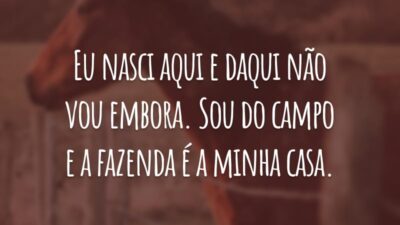 Eu nasci aqui e daqui não vou embora. Sou do campo e a fazenda é a minha casa.