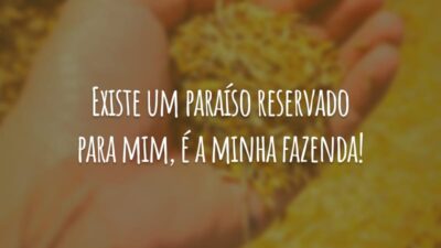 Existe um paraíso reservado para mim, é a minha fazenda!
