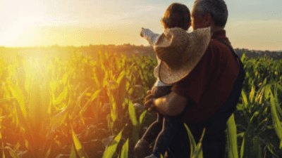 50 frases de fazenda para declarar seu amor pelo campo e natureza