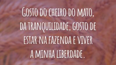 Gosto do cheiro do mato, da tranquilidade, gosto de estar na fazenda e viver a minha liberdade.