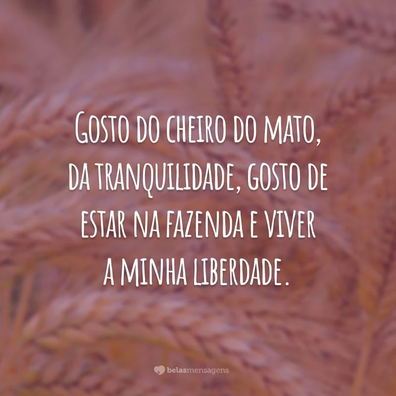 Gosto do cheiro do mato, da tranquilidade, gosto de estar na fazenda e viver a minha liberdade.