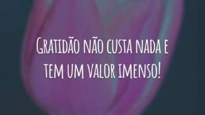 Gratidão não custa nada e tem um valor imenso!