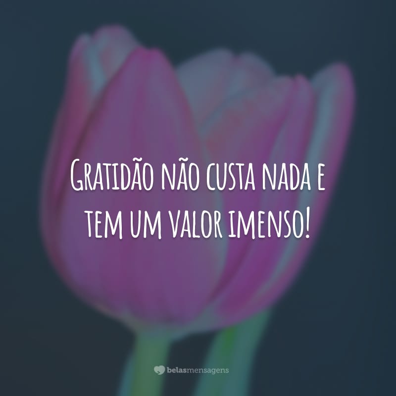 Gratidão não custa nada e tem um valor imenso!