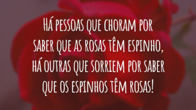 Há pessoas que choram por saber que as rosas têm espinho, há outras que sorriem por saber que os espinhos têm rosas!